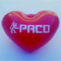 Almofada inflável Personalizada