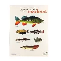 Bloco Personalizado