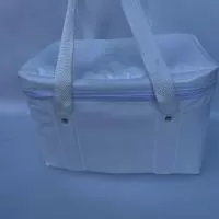 Bolsa termica pvc Personalizada