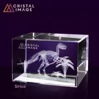 Cubo de cristal Personalizado