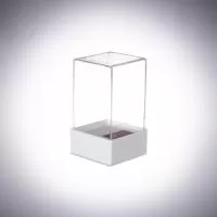 Cúpula Personalizada