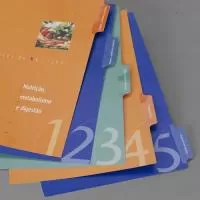 Divisória para fichário Personalizada