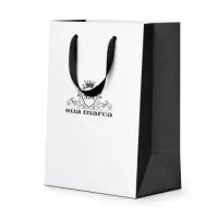 Sacola de papel Personalizada