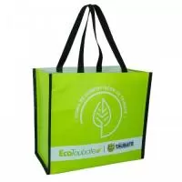 Sacola ecológica Personalizada